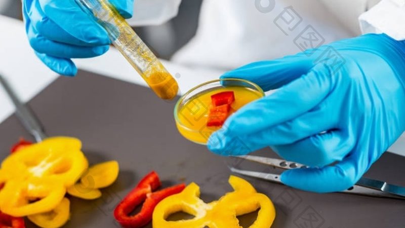 休闲食品礼盒装厂家直销哪家好